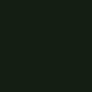 OBSIDIAN GREEN