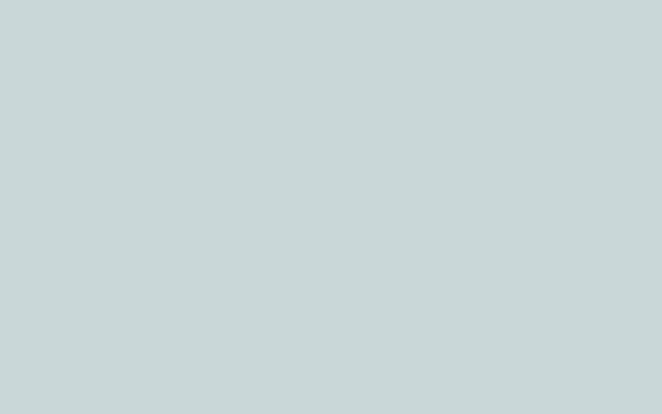 BONE CHINA BLUE-FAINT