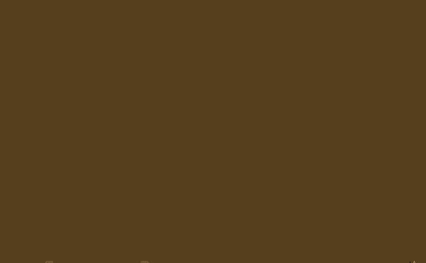 STONE-PALE-WARM