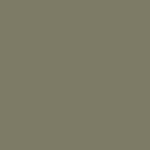 SILT