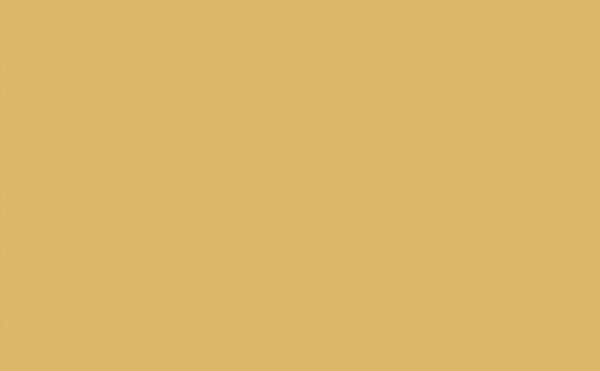LIGHT GOLD