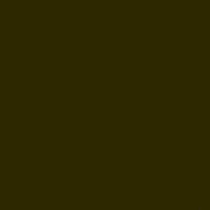 INVISIBLE GREEN