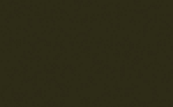 INVISIBLE GREEN